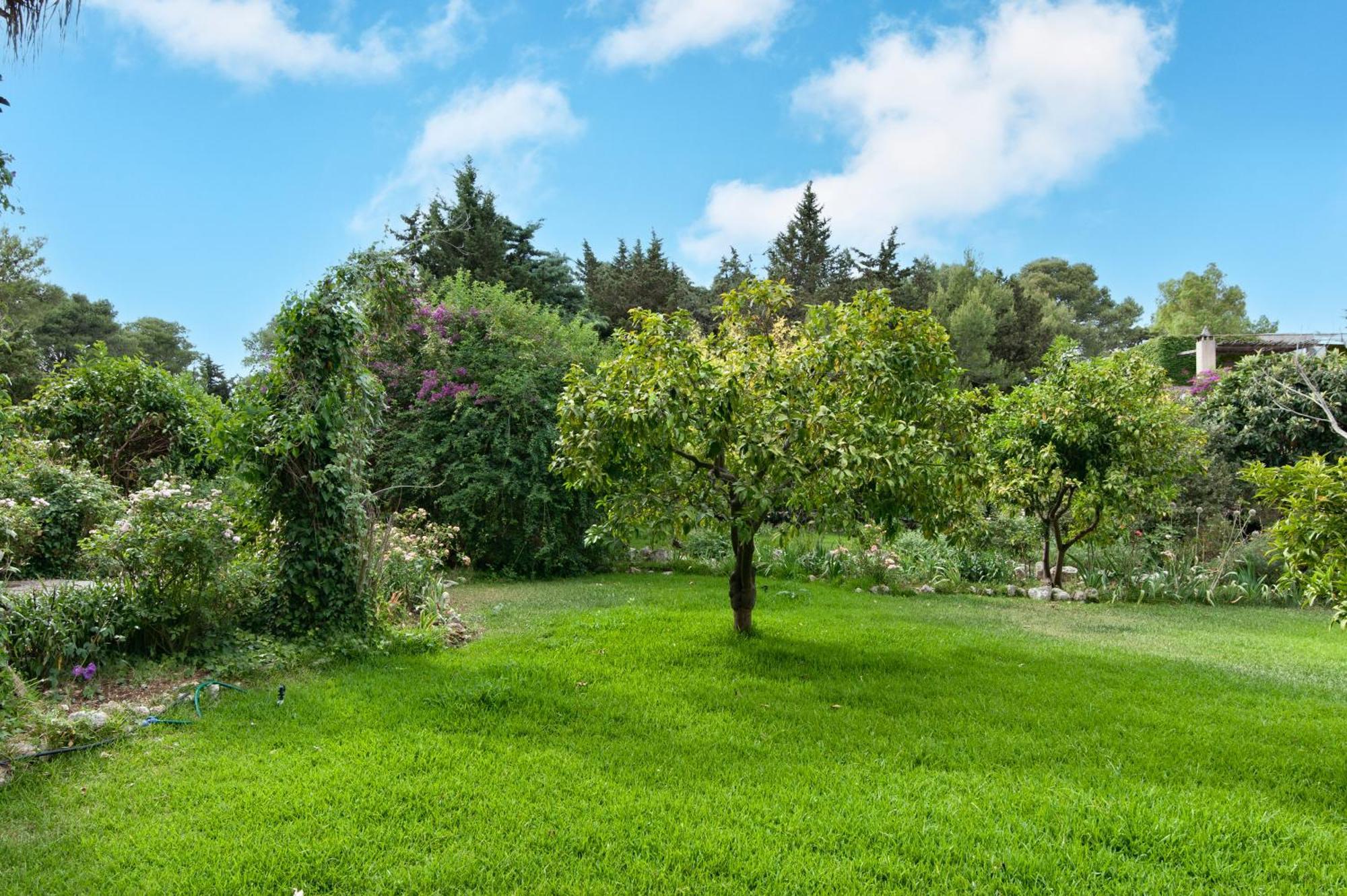 Castrignano de' Greci Tenuta Chimeta - Peace Retreat 빌라 외부 사진
