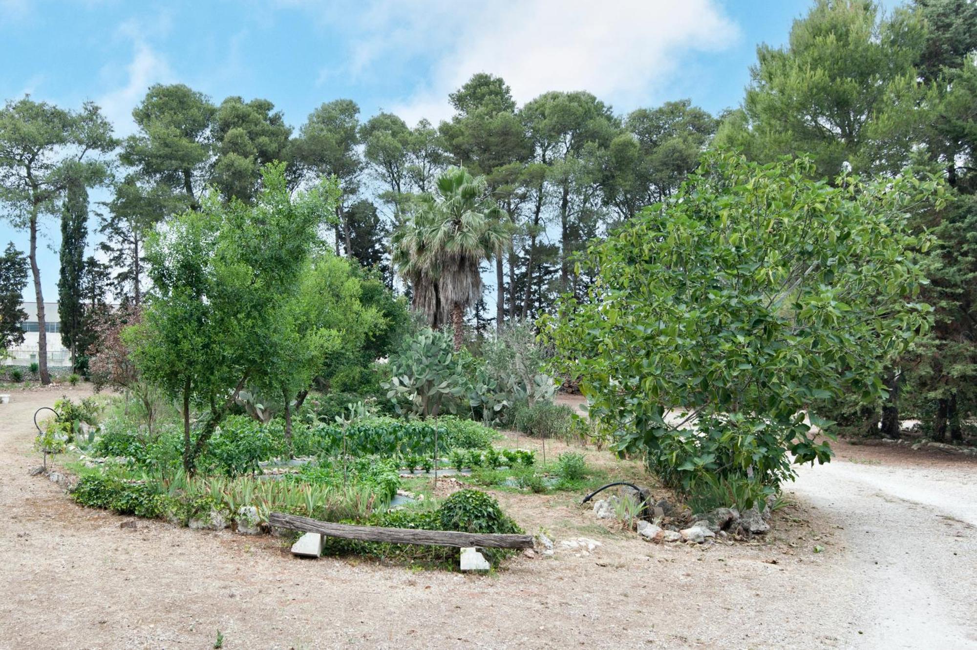 Castrignano de' Greci Tenuta Chimeta - Peace Retreat 빌라 외부 사진